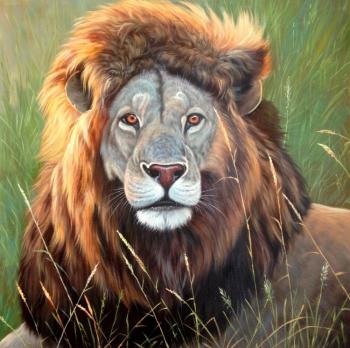 Lion (Lion Hunting). Bruno Augusto