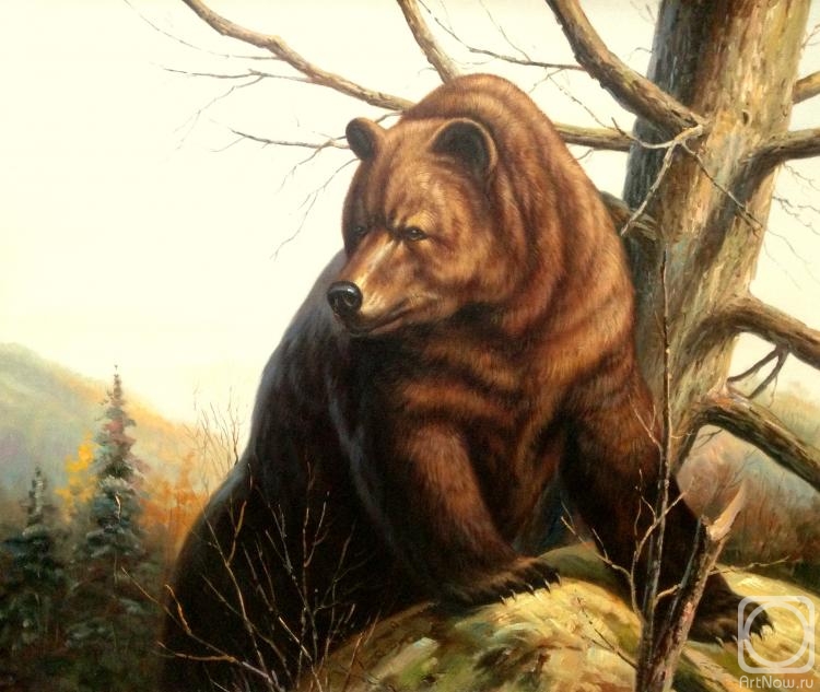 ������� ������ �� ������. ����� �������. ������ �����