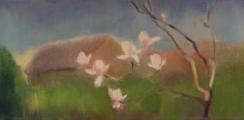 Spring. Magnolia blooms. Bitsenti Olga
