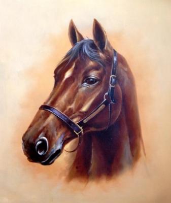 Horse. Bruno Tina