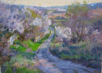 ������� ��������� ����