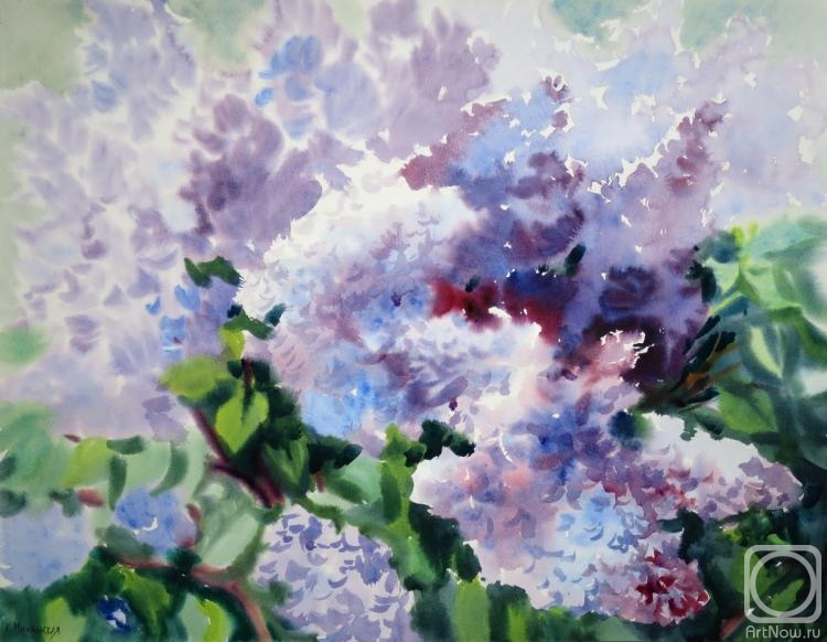 �������. ���������� ���������. ���� ������