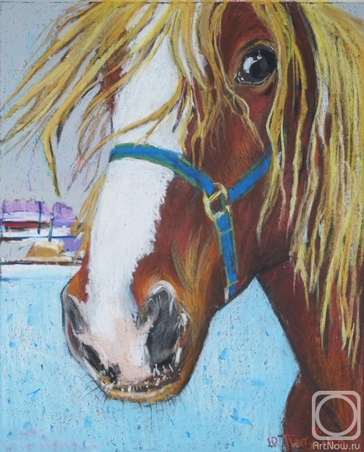 Pastuhova Julia. Horse