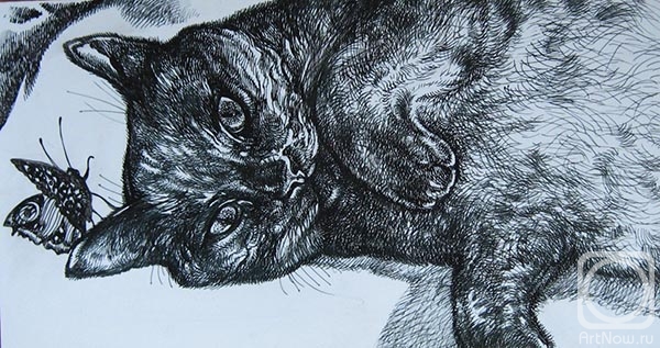 �������. ������� ������. ��� � �������