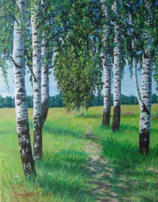 Berezi na poludennom znoe