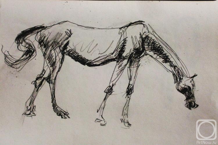 �������. ������ �������. �� ��������