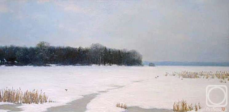 Kolesov Maksim. Untitled