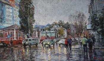 Rainy day. Soldatenko Andrey