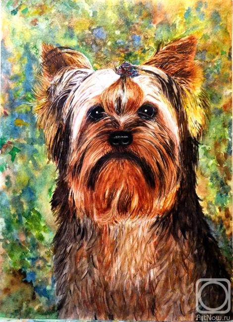 �������. �������� ������. �������