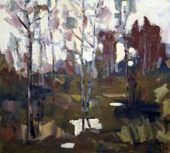 ������� �������� ���������� ������