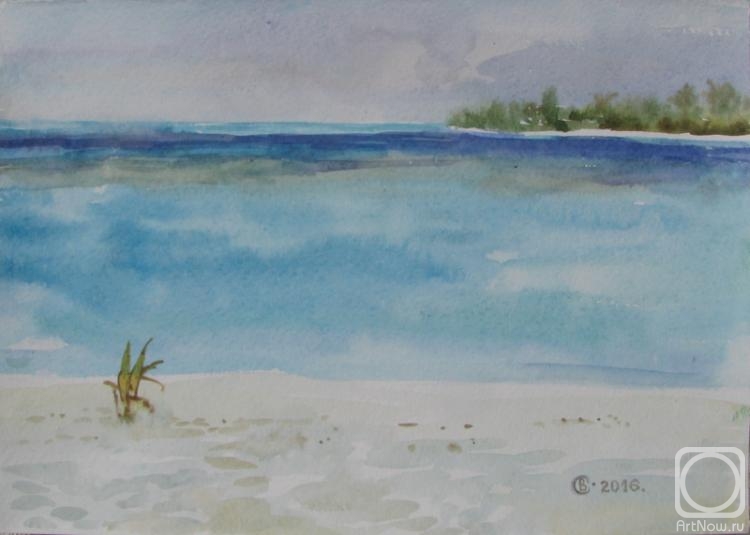 �������. �������� ����. �������������