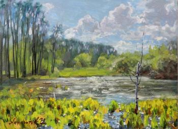 �������� ����. ��������� ������