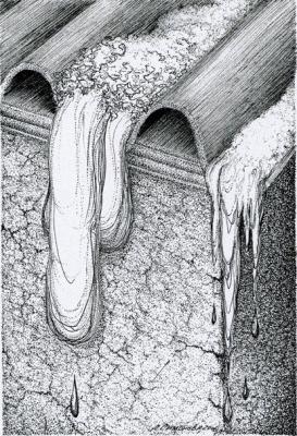 ������� �� � ���� ���� ������