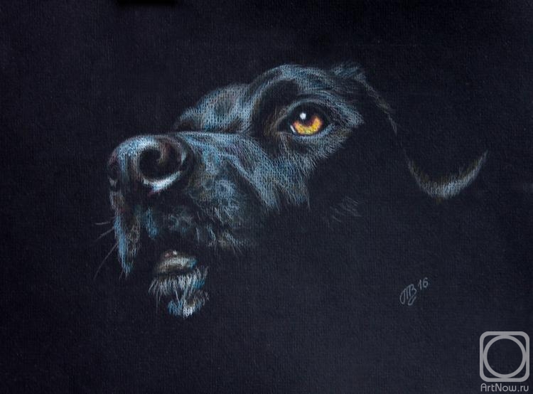 �������. �������� �������. ������ �����