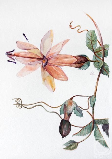 �������. �������� �������. ������ ��������