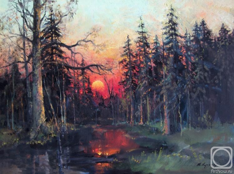 Kremer Mark. Evening in forest. Red sunset