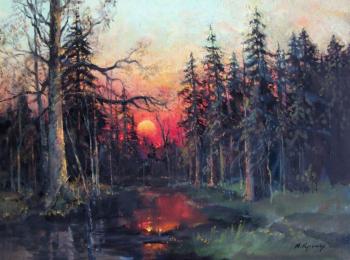 Evening in forest. Red sunset