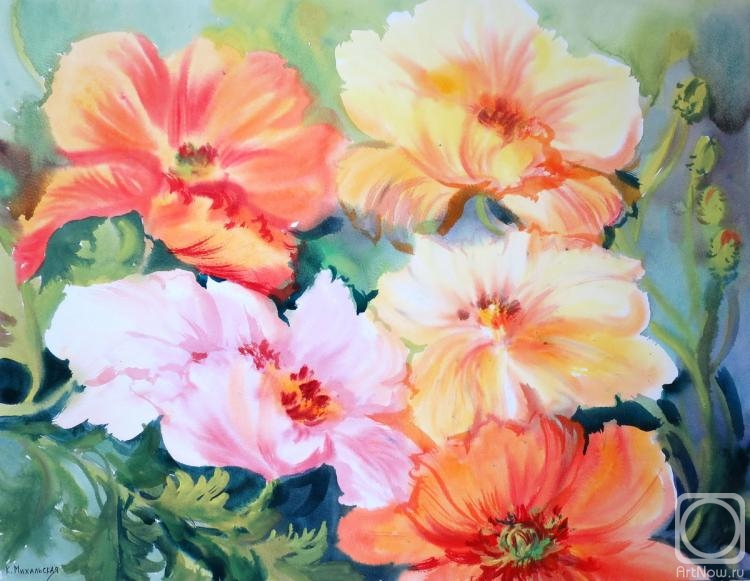 �������. ���������� ���������. ���������� ����