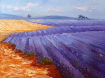 fields of Provence. Razumova Svetlana
