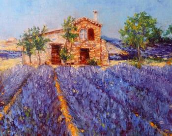 house in Provence