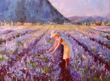 ����� � ��������. �������� ��������