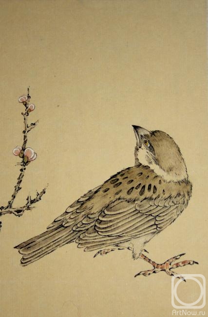 �������. ������� ����. ���������� ������� (������ ��������)