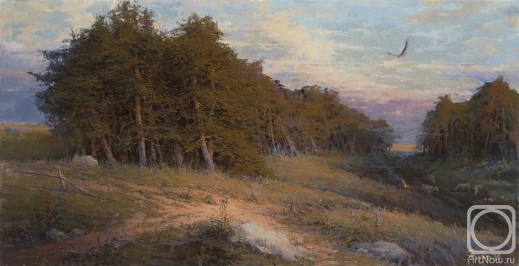 Zhilov Andrey. Evening in the pine grove