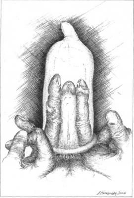 �������� ������ ����������. ���� ���� �������� �����