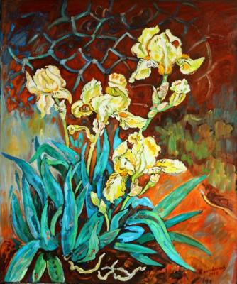 Yellow irises. Krasovskaya Tatyana