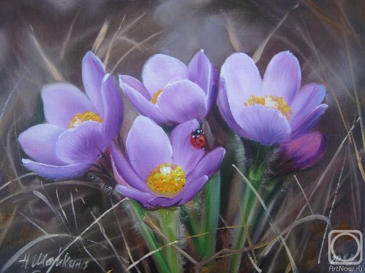 ������� ������ �� ������. ������� �������. ���-�����