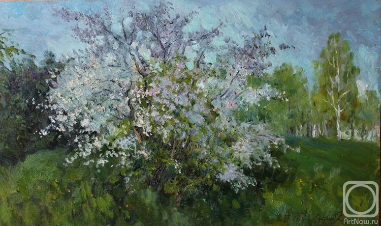 �������. �������������� ������. ����� � �����. � ���������� ������!!!