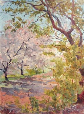 ������� �"������ ��������� ����" ����