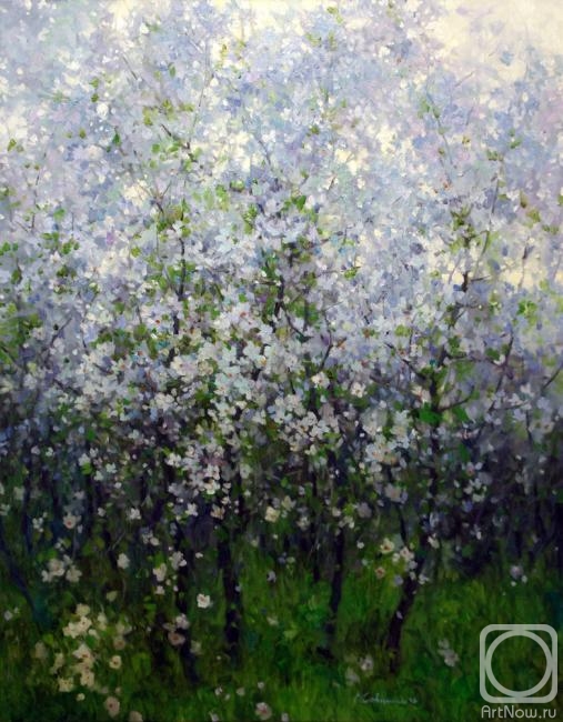 ������� ������ �� ������. �������� �������. ���� �����