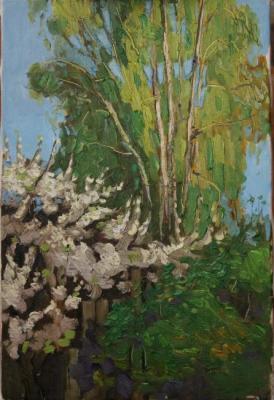 ������� ��������� ����