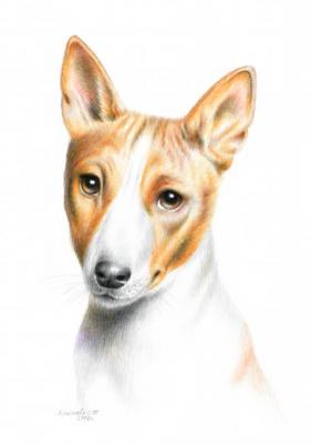 ������� ���������