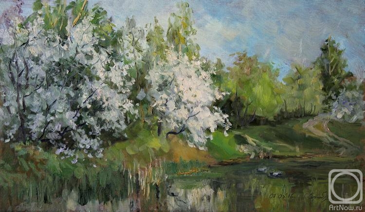 �������. �������������� ������. ������� ��������