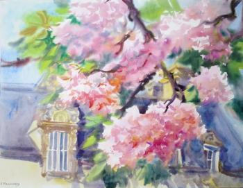 ������� ������� ������