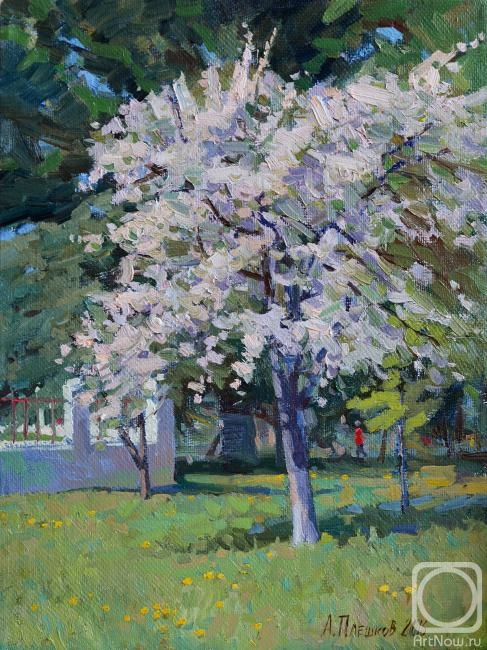 ������� ������ �� ������. ������� �������. ������ ���