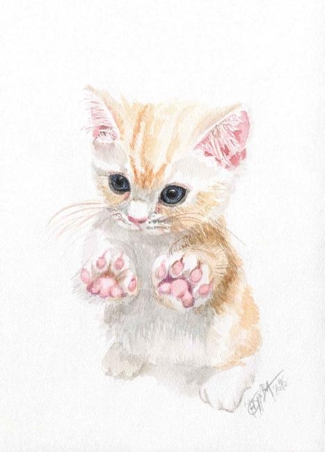 �������. ������ �������. ������� �����