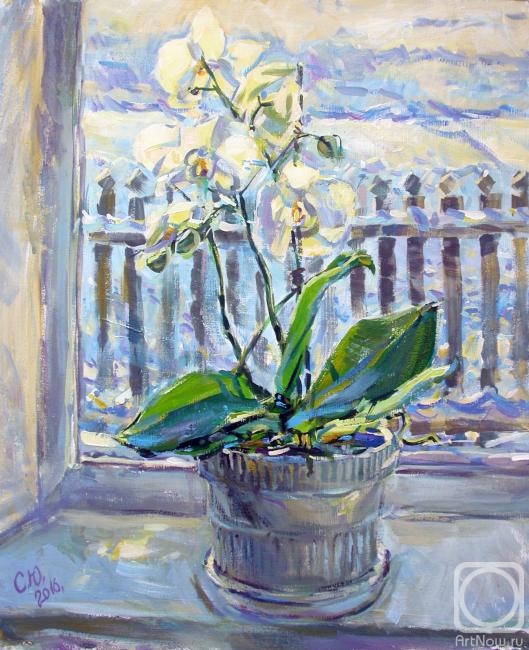 �������. ������� ����. ������� � �������