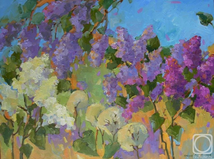 ������� ������ �� ������. ���������� �����. ����� � ������