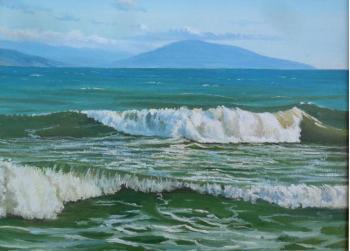 Waves in the bay. Chernyshev Andrei