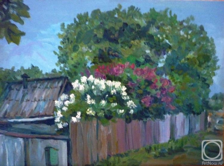 Ripa Elena. May lilac