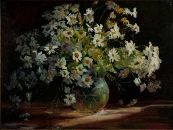 Chamomile. Bovin Viktor