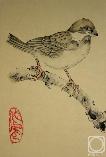 �������. ������� ����. ���������� ������� (����� ��������)