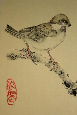 Sparrow story (left picture). Engardo Anna