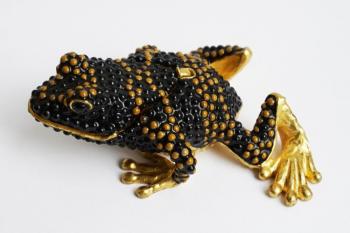 black dart frogs