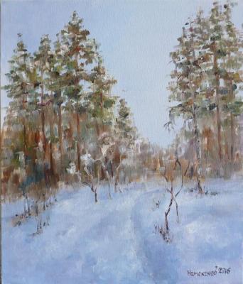 winter study. Namokonov Alexander