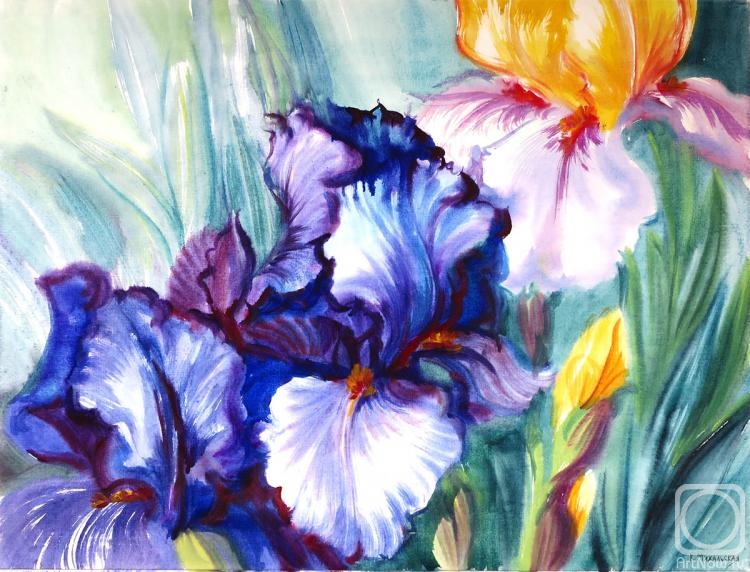 �������. ���������� ���������. ���������� �����