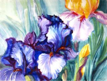 ������� ����������� ������